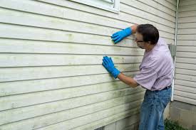 Best Siding Painting and Refinishing  in Walters, OK